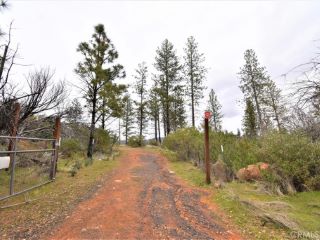 Foreclosed Home - 10 PATTON PEAK RD, 95965