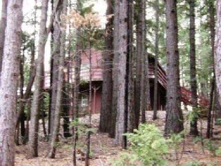 Foreclosed Home - 94 WEISS HILL RD, 95966