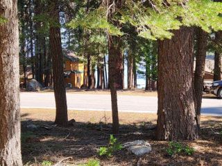 Foreclosed Home - 262 LAKE ALMANOR WEST DR, 96020
