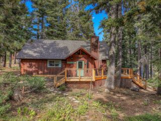 Foreclosed Home - 1010 SNOWSHOE RD, 96145