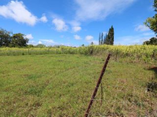 Foreclosed Home - 1310 W KUIAHA RD, 96708