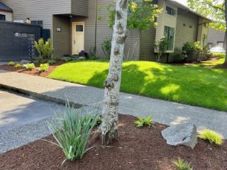 Foreclosed Home - List 100655574