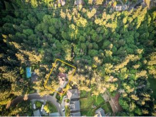 Foreclosed Home - List 100393793