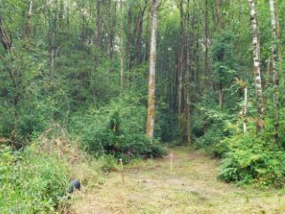 Foreclosed Home - 201 JENSEN RD LOT 4, 98570