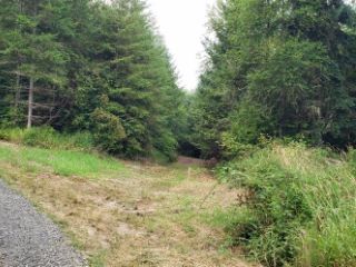 Foreclosed Home - 212 JENSEN RD LOT 1, 98570