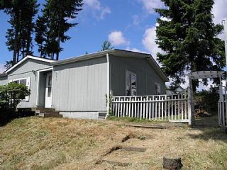 Foreclosed Home - 91 E TREEWATER PL, 98584