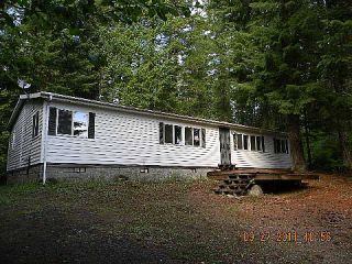Foreclosed Home - 171 HESLEN RD, 98610